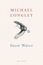 Snow Water