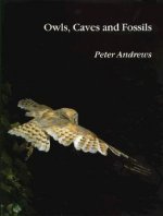 Owls Caves & Fossils