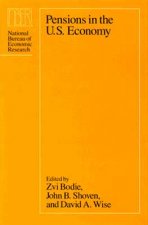 Pensions in the United States Economy