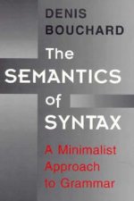 Semantics of Syntax