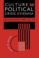 Culture and Political Crisis in Vienna