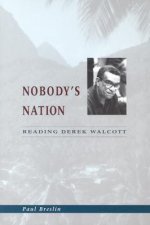 Nobody's Nation
