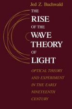 Rise of the Wave Theory of Light
