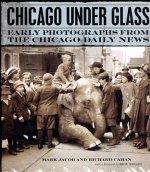 Chicago under Glass