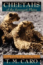 Cheetahs of the Serengeti Plains