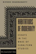 Habitations of Modernity