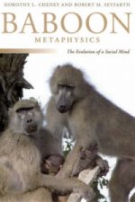 Baboon Metaphysics
