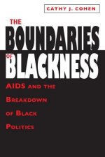 Boundaries of Blackness - AIDS and the Breakdown of Black Politics