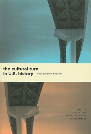 Cultural Turn in U. S. History