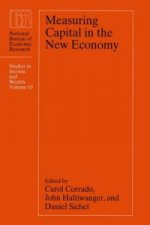 Measuring Capital in the New Economy