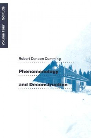 Phenomenology and Deconstruction, Volume Four