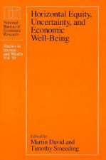 Horizontal Equity, Uncertainty and Economic Well-being