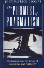 Promise of Pragmatism