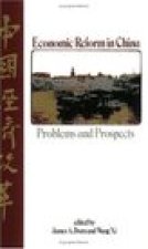 Economic Reform in China