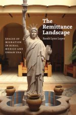Remittance Landscape