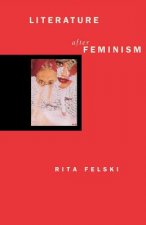 Literature after Feminism