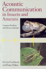 Acoustic Communication in Insects and Anurans