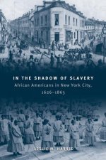 In the Shadow of Slavery