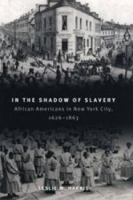 In the Shadow of Slavery