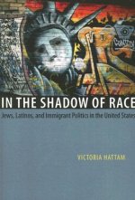 In the Shadow of Race