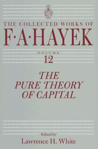 Pure Theory of Capital