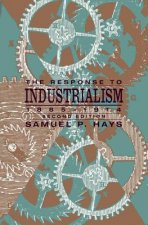Response to Industrialism, 1885 - 1914
