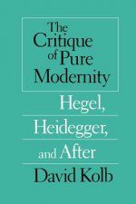 Critique of Pure Modernity - Hegel, Heidegger, and After