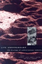 Life Underground