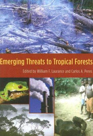 Emerging Threats to Tropical Forests