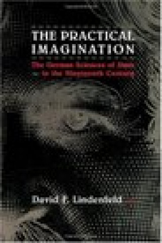Practical Imagination