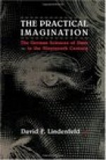 Practical Imagination