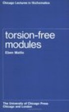 Torsion-free Modules