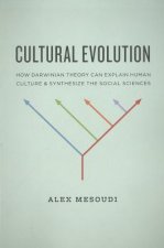 Cultural Evolution