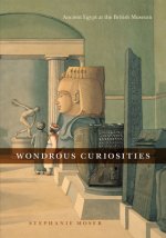 Wondrous Curiosities