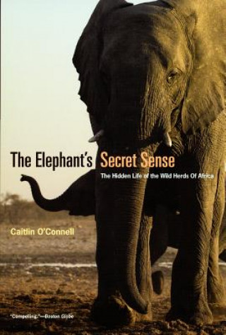 Elephant`s Secret Sense - The Hidden Life of the Wild Herds of Africa