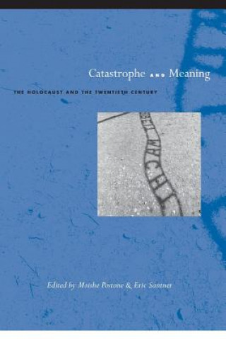 Catastrophe and Meaning