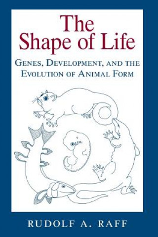 Shape of Life