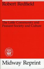 Little Community and Peasant Society and Culture