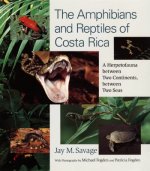 Amphibians and Reptiles of Costa Rica