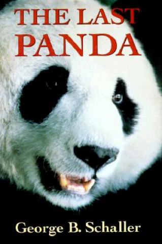 Last Panda