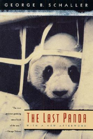 Last Panda