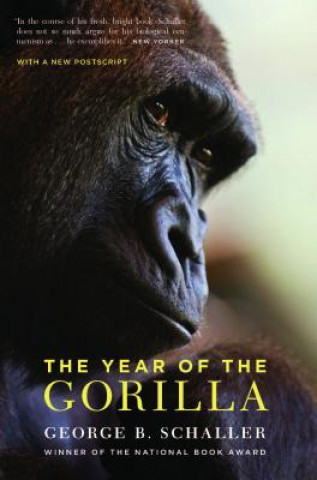 Year of the Gorilla