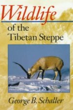 Wildlife of the Tibetan Steppe