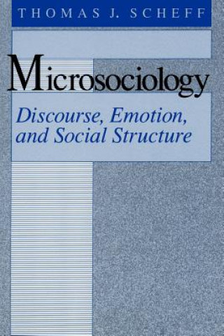 Microsociology