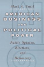 American Business and Political Power