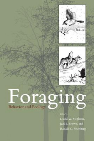 Foraging