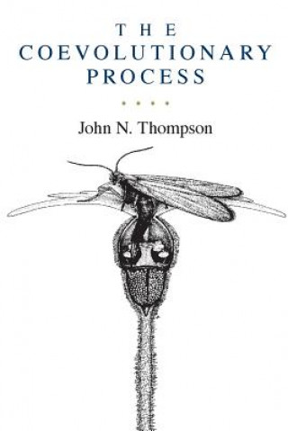 Coevolutionary Process