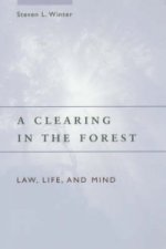 Clearing in the Forest