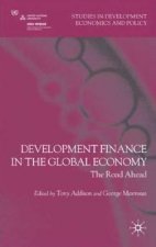 Development Finance in the Global Economy