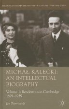 Michal Kalecki: An Intellectual Biography
